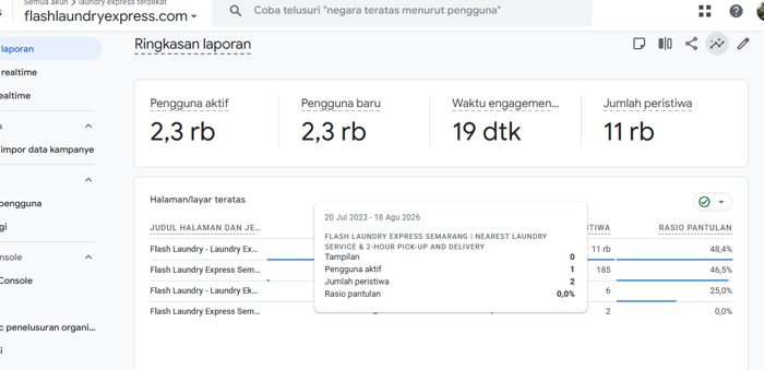 Screenshot Google Analytics Flash Laundry Express